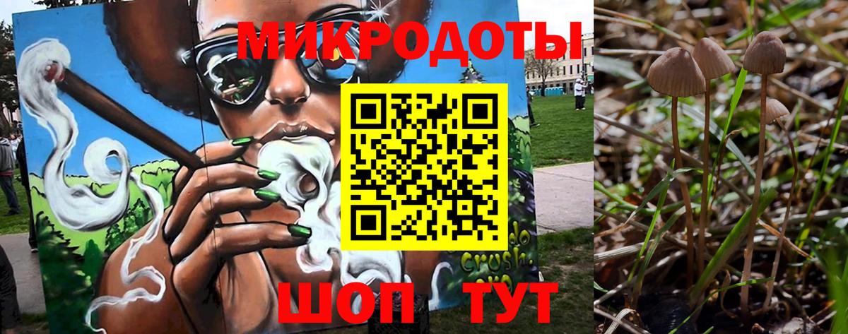 Галлюциногенные грибы Psilocybe  Вход с VPN  Благодарный 